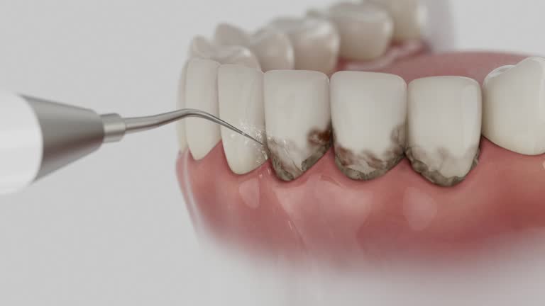 Reliable Dental contractor in New Chicago, IN by Dentist Open Now